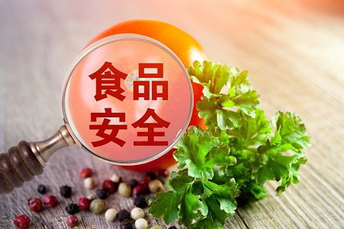 最严四川省中小学校食品安全管理办法3月起实施